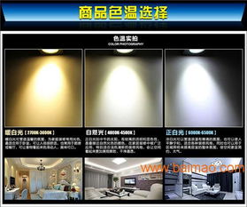 廣西照明微牌超市專用生鮮燈具省電節(jié)能,廣西照明微牌超市專用生鮮燈具省電節(jié)能生產(chǎn)廠家,廣西照明微牌超市專用生鮮燈具省電節(jié)能價(jià)格